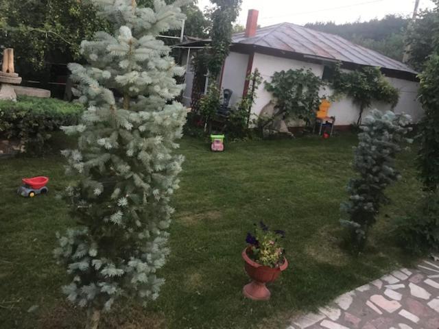 Casa Matetovici Villa Greci Eksteriør billede