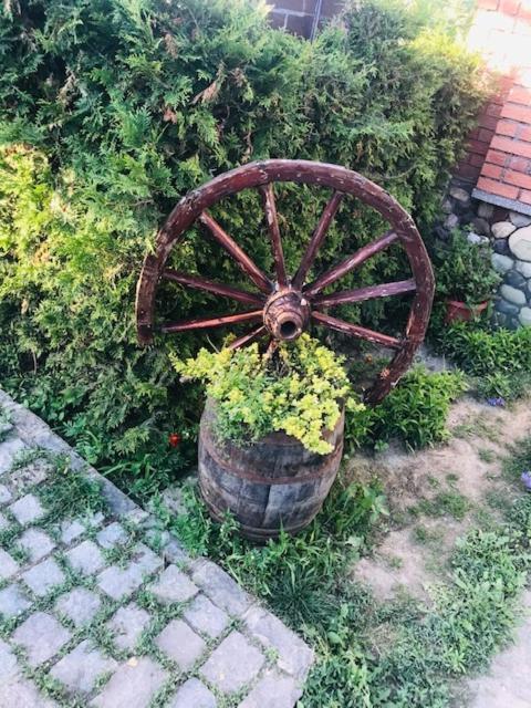 Casa Matetovici Villa Greci Eksteriør billede