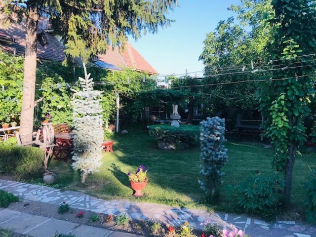 Casa Matetovici Villa Greci Eksteriør billede