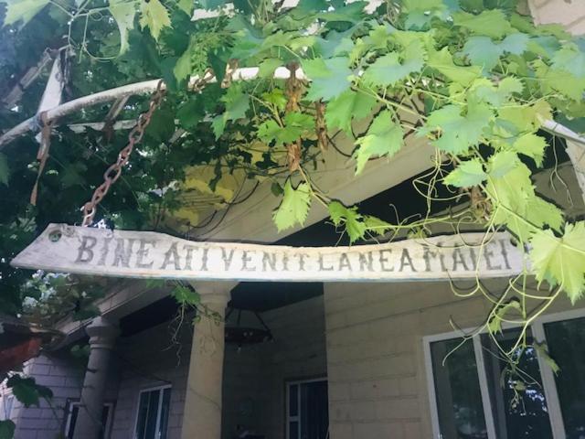Casa Matetovici Villa Greci Eksteriør billede