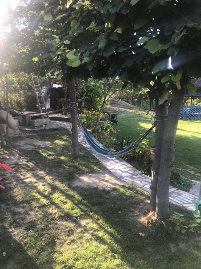 Casa Matetovici Villa Greci Eksteriør billede