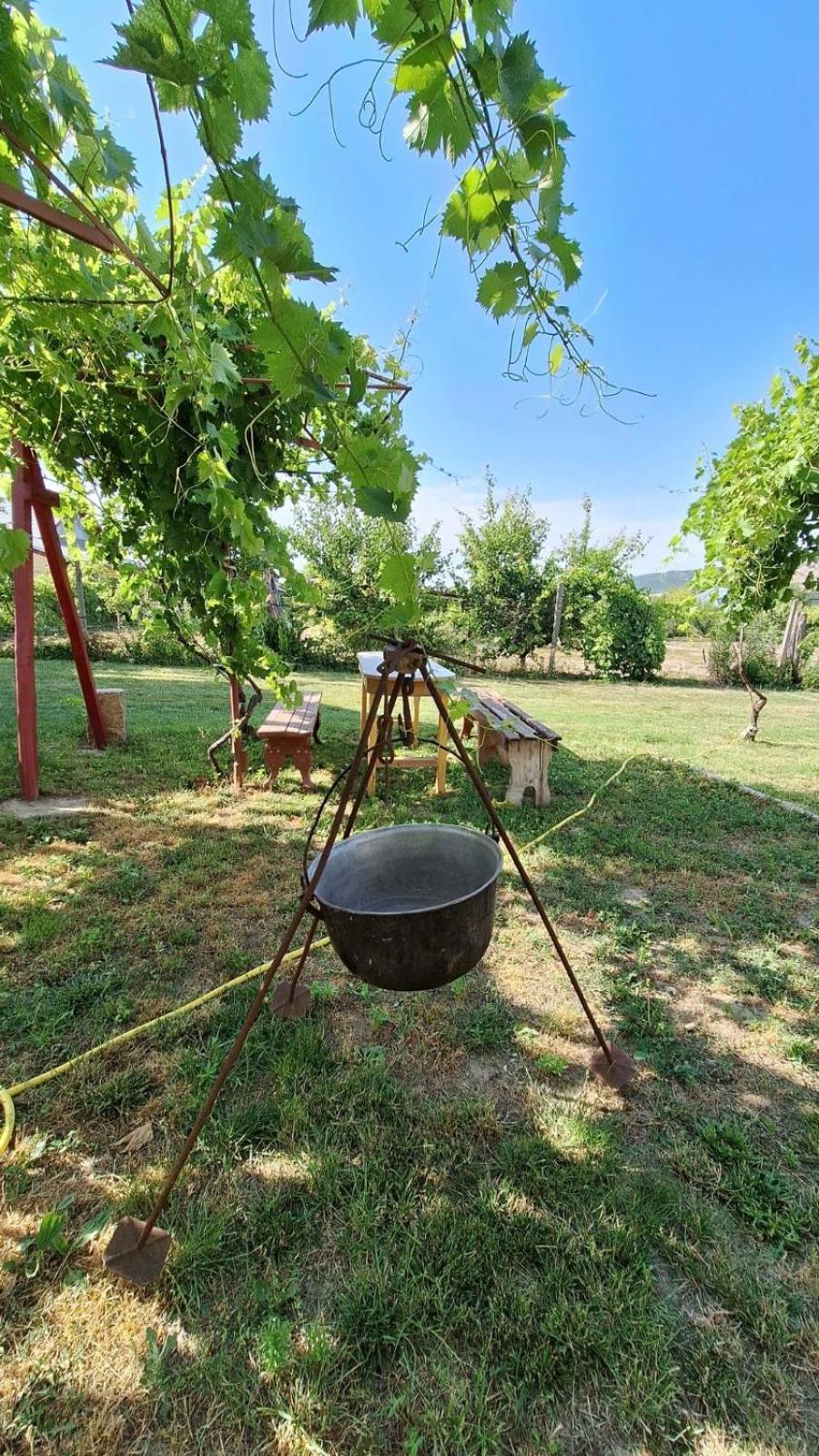 Casa Matetovici Villa Greci Eksteriør billede